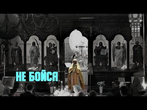 Видео: Проповедь «Не бойся» | иером. Иоанн (Гуайта) (DUB & SUB EN RU ITA FR ES)