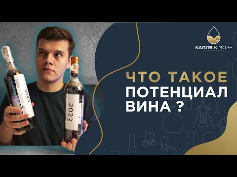 Видео: Выдержка и потенциал вина | Что это и как понять?