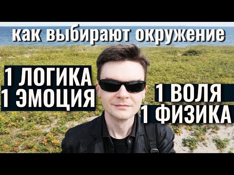 Видео: Как выбирают себе окружение 1Воля, 1Физика, 1Логика, 1Эмоция