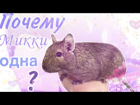 Видео: Почему Микки одна ?|Вопрос закрыт ❌