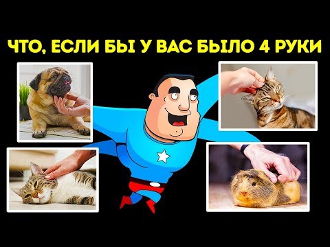 Видео: Что, если бы у нас было четыре руки вместо двух