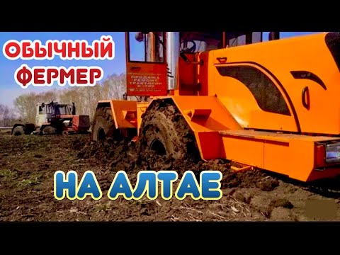 Видео: Фермеры Сибири…. Алтай - дикий край или все как у нас?
