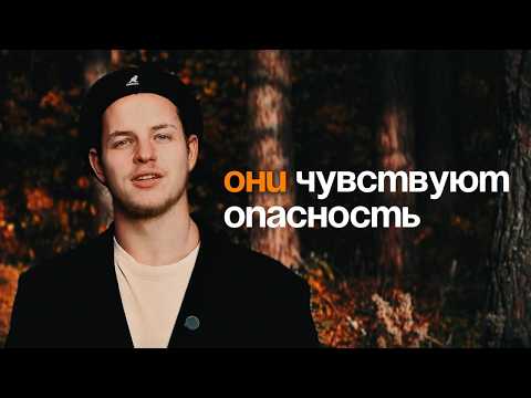 Видео: Будь так спокоен, что это заставит людей нервничать.