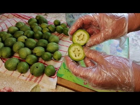 Видео: ☝☝УСПЕЙТЕ ПРИГОТОВИТЬ ЛЕЧЕБНУЮ НАСТОЙКУ ЗЕЛЕНЫХ ГРЕЦКИХ ОРЕХОВ С МЕДОМ