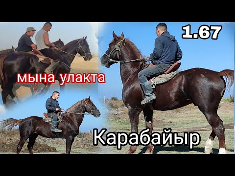 Видео: РЕБЕНОК КАРАБАЙРА ДАЛ ПЕРЕРЫВ ВЕЧЕРОМ