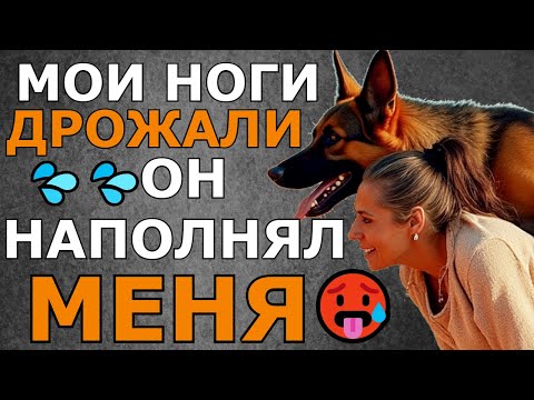 Видео: ПЁС СЛУЧАЙНО ПОПАЛ В ТУЗ