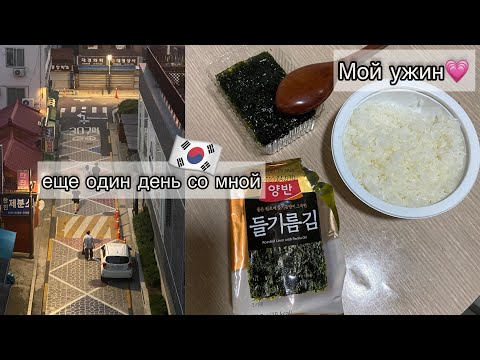 Видео: KOREA VLOG DIARY| Собираю документы на ARC (ID карту иностранца) / Ханянг университет | 2.09.2023