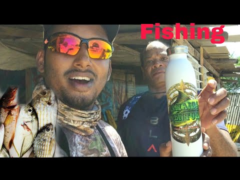 Видео: Грандиозное рыболовное приключение в Кингстоне 🎣 | Ловля люциана, брима и не только! | Big Kid Or...