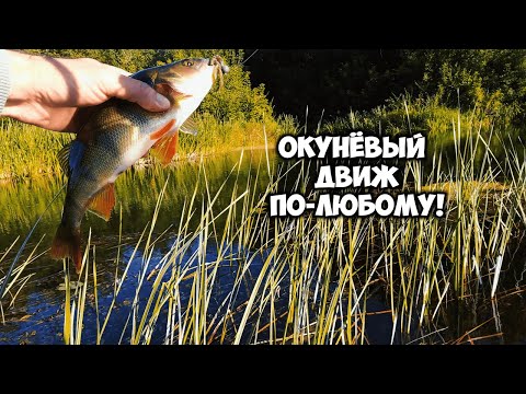 Видео: Эти точно не откажутся! 5 простых но эффективных приманок на окуня.