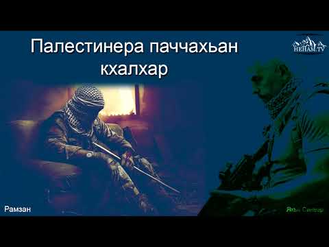 Видео: Палестинера паччахьан кхалхар / Рамзан