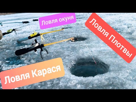 Видео: МОИ ЛУЧШИЕ МОМЕНТЫ ЗИМНЕЙ РЫБАЛКИ 2025! ОГРОМНЫЕ КАРАСИ. КРУПНАЯ ПЛОТВА. ОКУНЬ.