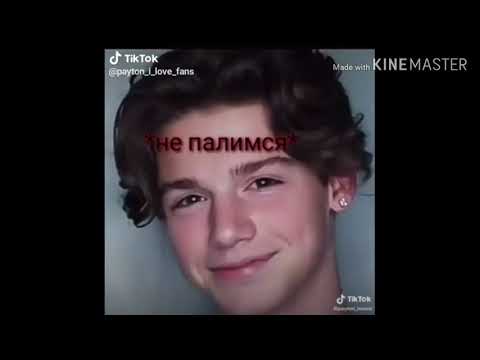 Видео: Подборка видео с Пэйтоном 🐛 Тик Ток 🌷