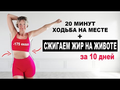 Видео: Сжигаем жир НА ЖИВОТЕ за 10 дней | Ходьба на месте без повтора упражнений | Физкультурница