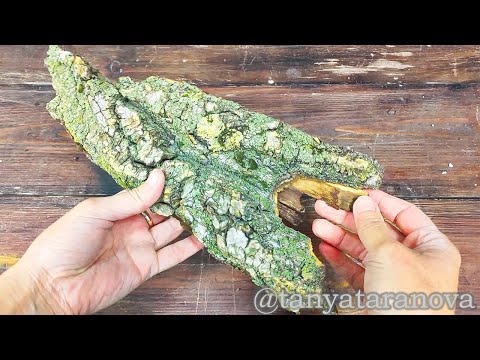 Видео: Природный стиль: панно из лесной палитры🌿узнайте простые решения