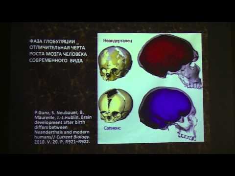 Видео: Один день из жизни неандертальца. Мария Добровольская