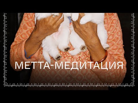 Видео: Метта медитация | 2 Эфир Курс «Как работает карма?» 