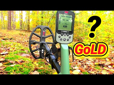 Видео: Тест на золото Металлоискателя Minelab X-Terra Pro шокирующий результат!