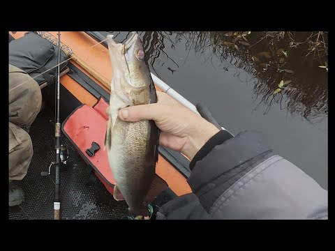 Видео: Тайга.Осень-25.   5 часть.