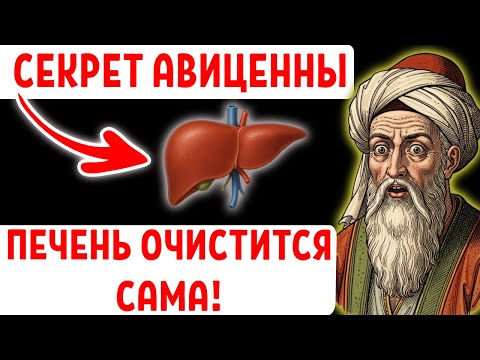Видео: ЧТО СКРЫВАЛ АВИЦЕННА ТЫСЯЧУ ЛЕТ?