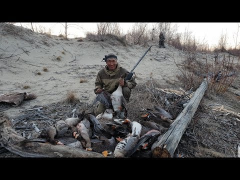 Видео: Охота на гуся в Якутии 1 часть! Yakutia