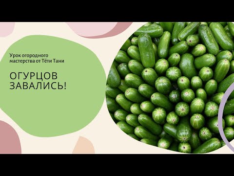 Видео: 434. Чтобы завалиться огурцами...что сделать надо...