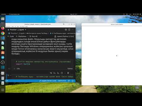 Видео: 1.12. Python тілінен практикалық сабақ. Алгоритмдер және turtle модулы