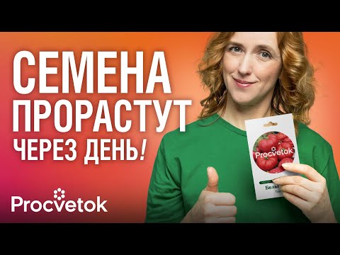 Видео: ВЗОЙДУТ ЛЮБЫЕ СЕМЕНА, если знать это! Тест 12 методов обеззараживания и улучшения всхожести семян