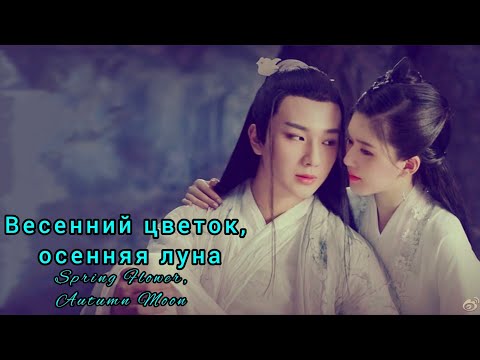 Видео: 💮 Весенний цветок, осенняя луна💮Spring Flower, Autumn Moon💮 Любовь лучше бессмертия