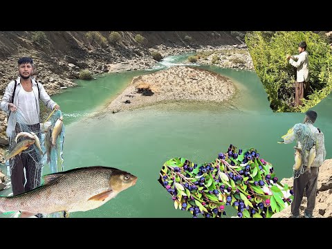 Видео: Приключения кочевника Хашема в таинственной горной реке | Поймайте золотую рыбку и дикие целебные фр