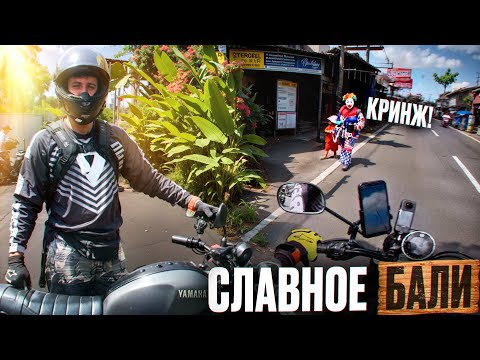 Видео: СЛАВНОЕ БАЛИ! СОБАКА С БРОВЯМИ! КЛОУНЫ НА ДОРОГАХ! ПОЧЕМУ БАЛИ ТАКОЙ КРИНЖ?