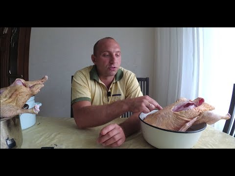 Видео: Вес тушки кр.серой и линды в 68 дней