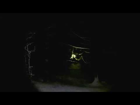 Видео: Черни връх - нощно ски спускане// Cherni vrah - night ski downhill, Sofia, Bulgaria , Part 2