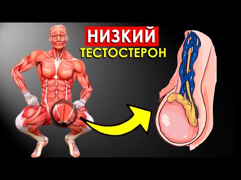 Видео: 8 Самых Опасных Симптомов Низкого Тестостерона у Мужчин