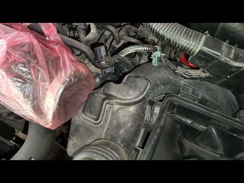Видео: Honda Accord 10 1.5 turbo замена масла в двигателе 🇺🇦