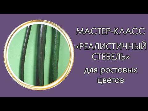 Видео: 🌱РЕАЛИСТИЧНЫЙ СТЕБЕЛЬ для ростовых цветов (Мастер-Класс 2020)