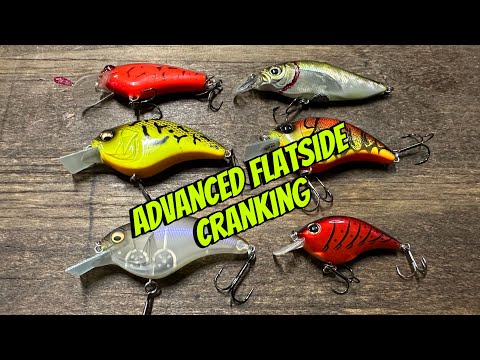 Видео: Продвинутые техники и стратегии ловли на плоские воблеры…