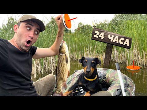 Видео: Ловля на кружки и бойлы Белого амура 24-Часа