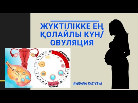 Видео: Жүктілікке ең қолайлы күн / Жүктілікті жоспарлау/ ОВУЛЯЦИЯНЫ есептеп Үйренейік