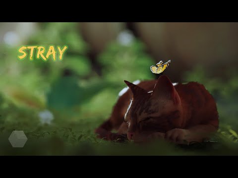 Видео: Stray: 1 серия. Игрофильм. Прохождение без комментариев.