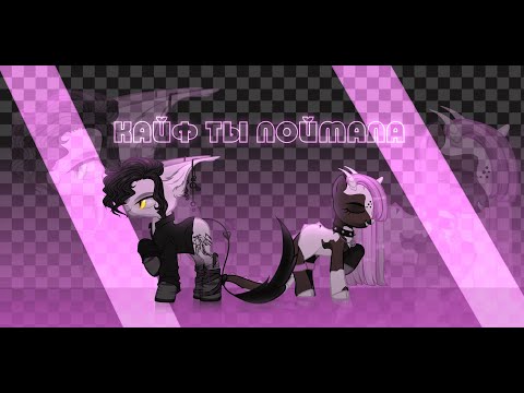 Видео: {PMV|Пони клип|Сollab} - Кайф ты поймала ~