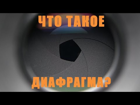 Видео: ЧТО ТАКОЕ ДИАФРАГМА В ТВОЕЙ КАМЕРЕ? | Учимся снимать с нуля | Как сделать размытый фон?