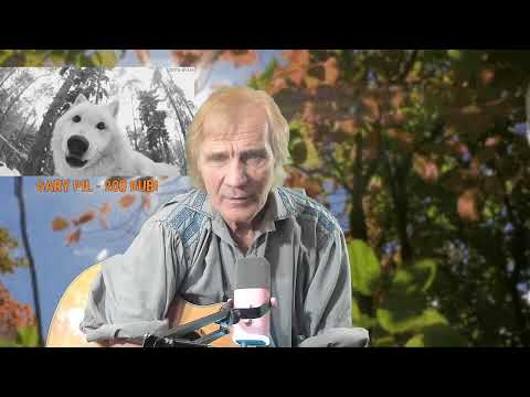 Видео: Вечер песен Высоцкого ТВ № 2414