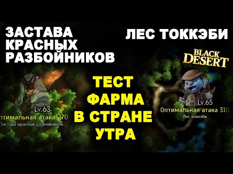 Видео: 💰 ЛЕС ТОККЭБИ. ЗАСТАВА КРАСНЫХ РАЗБОЙНИК. Тест фарма серебра в Стране Утра БДО (BDO - Black Desert)