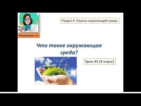 Видео: Что такое окружающая среда?