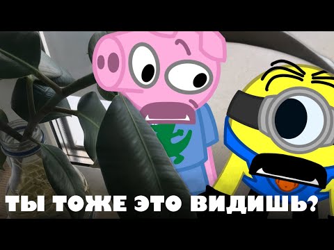 Видео: После кадров: КАК ДЖОРДЖ И СТЮАРТ СТРАННОЕ РАСТЕНИЕ НАШЛИ