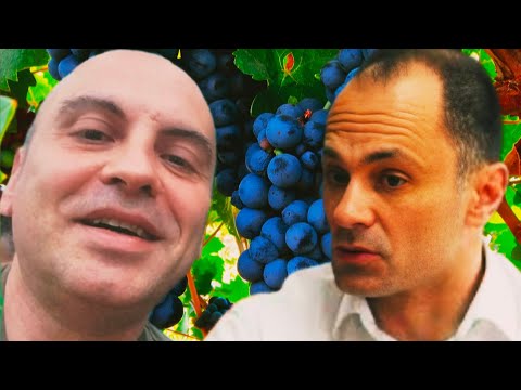 Видео: ШО СЕ РАЗБИРАШ ВЕНКО ТИ У ГРОЗЈЕ, КО ДРУГАР ТИ ЗОКЕ У МАКЕДОНШТИНА?