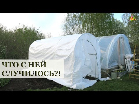 Видео: Что случилось с чудо-теплицей за лето?