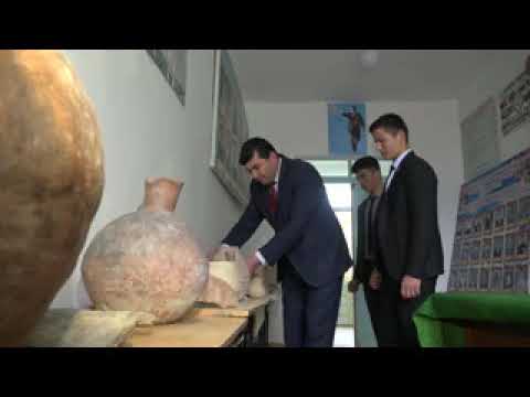 Видео: Завки бостоншиноси - Восеъ