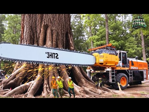 Видео: Экстремально опасные и быстрые большие бензопилы для резки деревьев | Удивительно быстрые измельч...