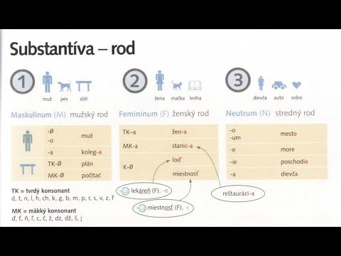 Видео: Lekcia 2 ВАЖНО! (Определение рода существительных). 2 Часть
